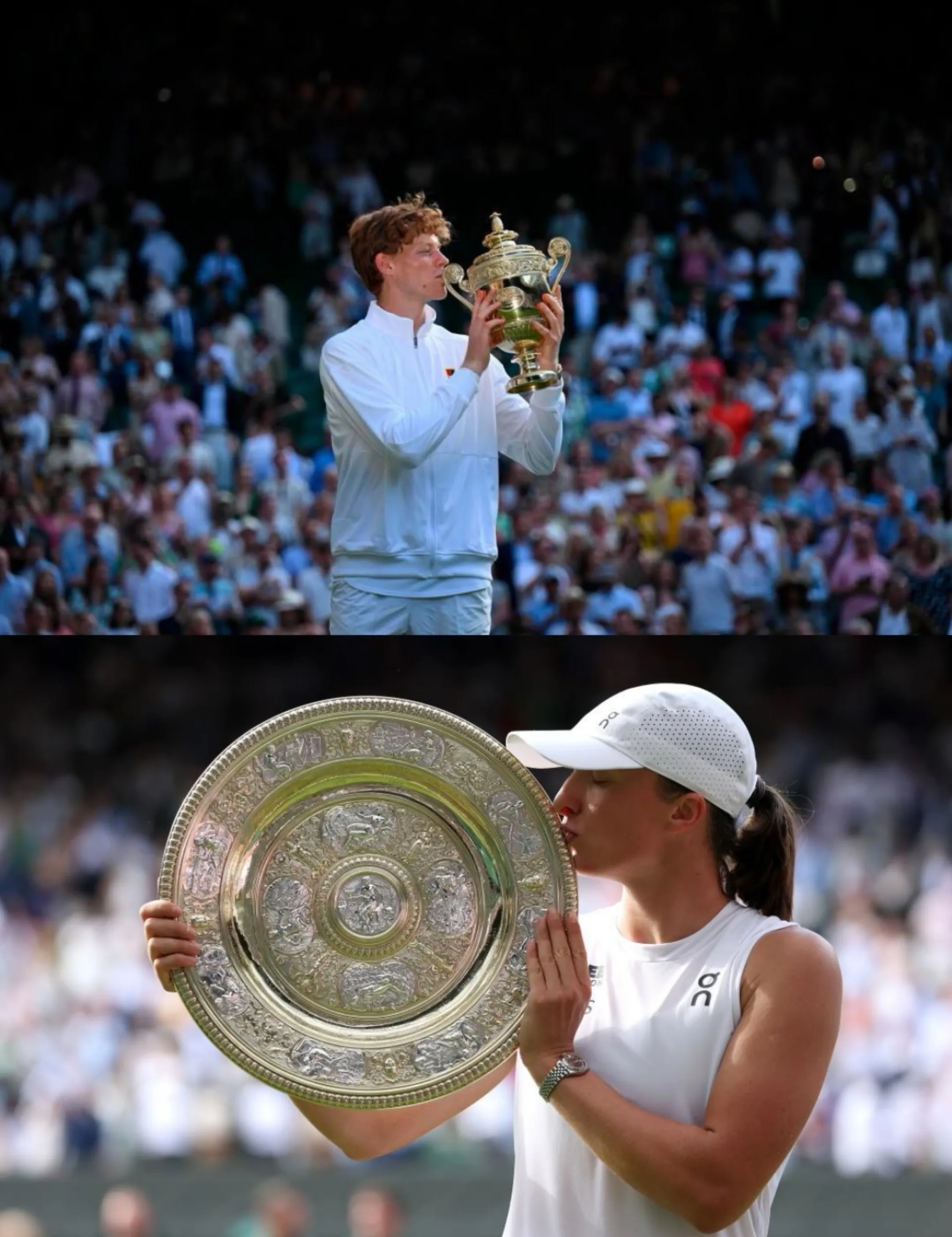 温网绝杀拉沃尔杯，蒂姆状态火热