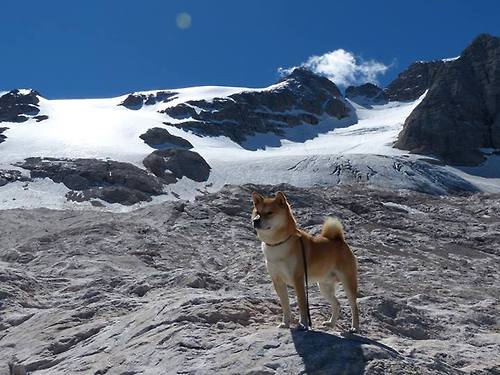 巨人杀手诞生记,独行侠奇兵天降,年度焦点战击溃十一冠王广东