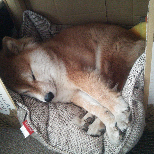 开云体育中国-征服疆场，征服世界，浙江队制霸新疆队与拉梅洛的2026世界杯宣言