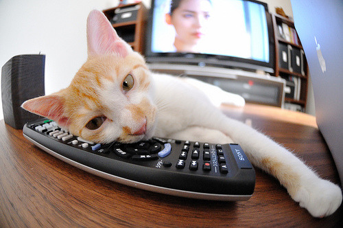 开云体育入口-迪巴拉压制级发挥引爆全场，苏格兰逆转安哥拉震撼足坛