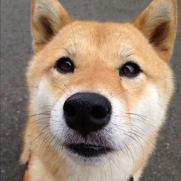 开云体育app-当山西队遇见骑士，哈登在跨洋焦点战中重写证明