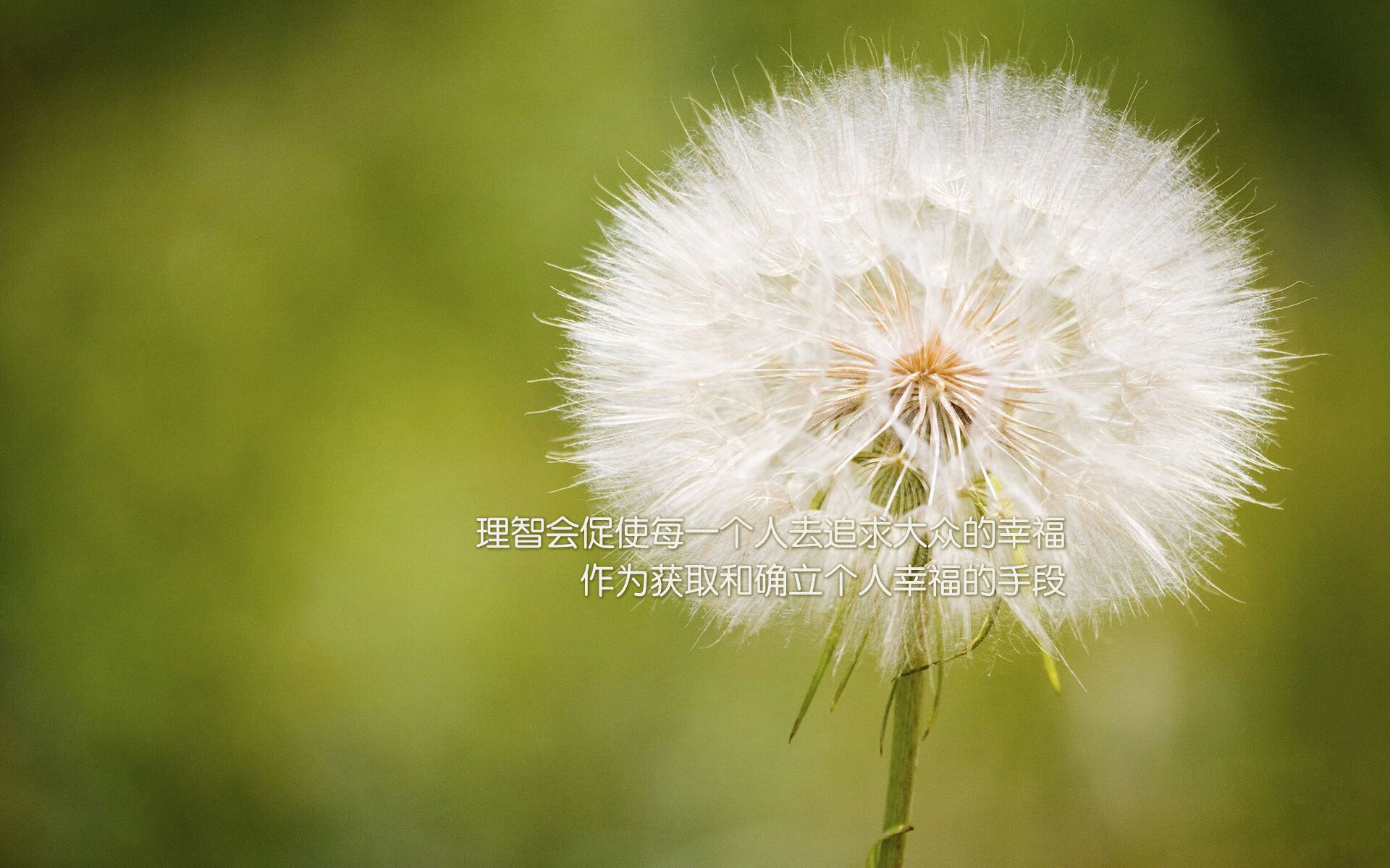 当山西队遇见骑士,哈登在跨洋焦点战中重写证明