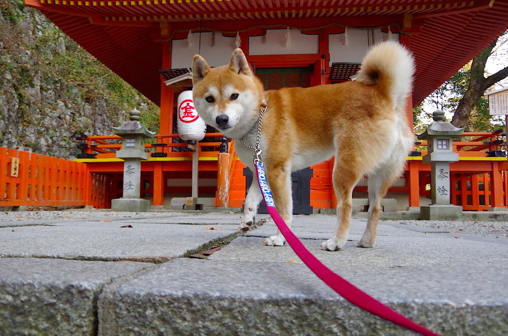 塞维利亚对阵巴萨，内马尔上演致命狙击，连续得分拉开决定性差距