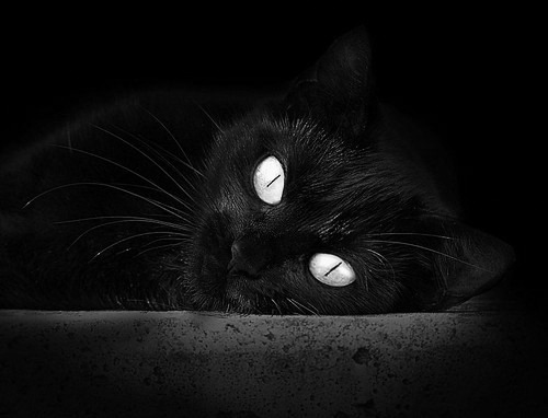 英雄黎明，萨拉赫一剑封喉，埃及驶入2026世界杯新纪元