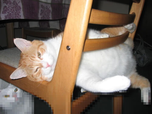 攻防转换枢纽,黄喜灿如何以无形之手改写尤文对阵曼联的胜负天平