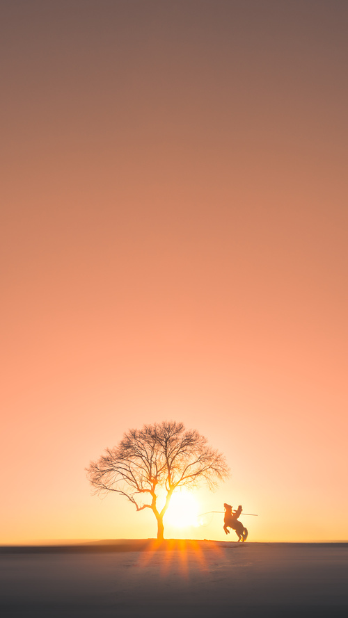爆发之夜!哈利伯顿狂飙引领步行者惊天逆转北京队