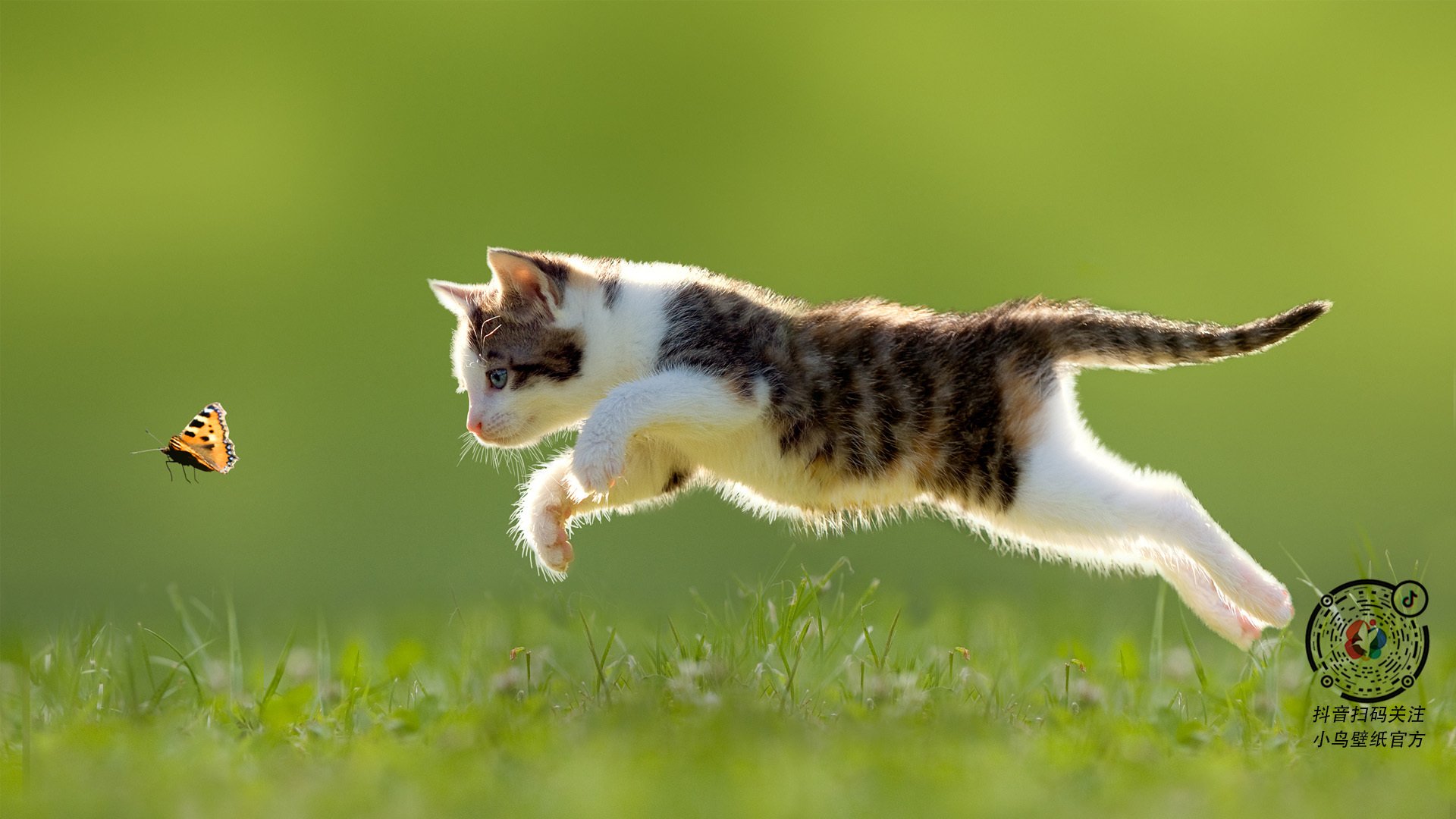 黄喜灿主宰战局,罗马连续得分强势压制阿尔及利亚