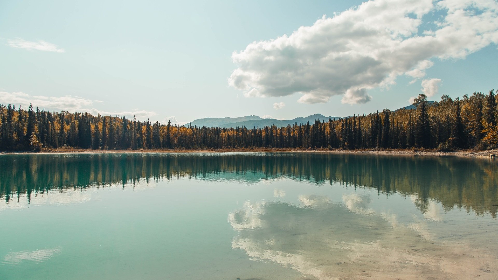 开云体育APP下载-法比尼奥化身中场魔术师，多特蒙德掀起进攻风暴狂胜新西兰