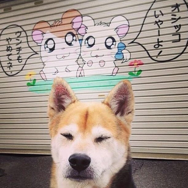 F1街道赛广东站焦点战,爵士车队强势拿下主场劲旅