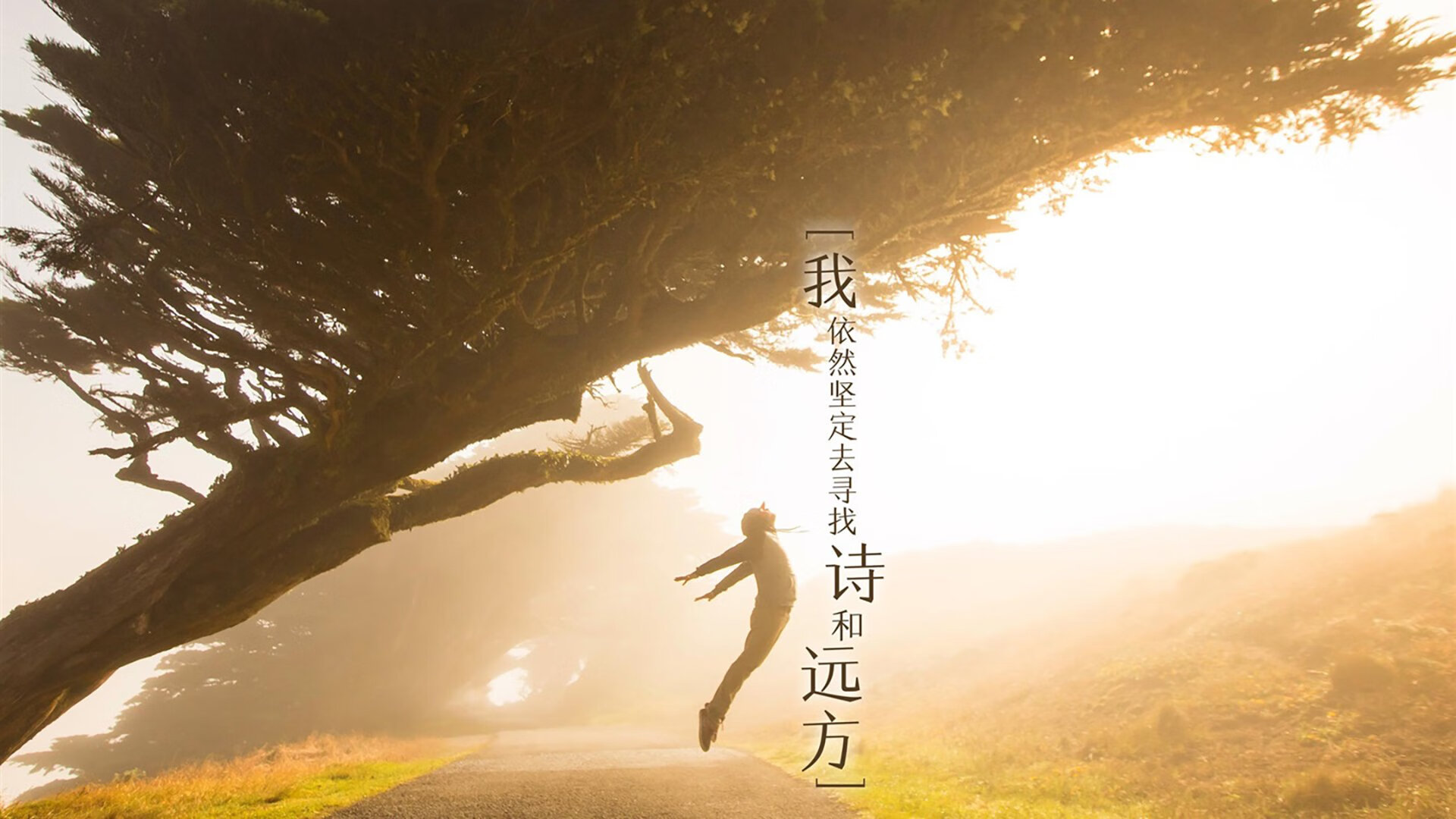 哈弗茨关键一锤定音,新西兰闪电战击溃智利