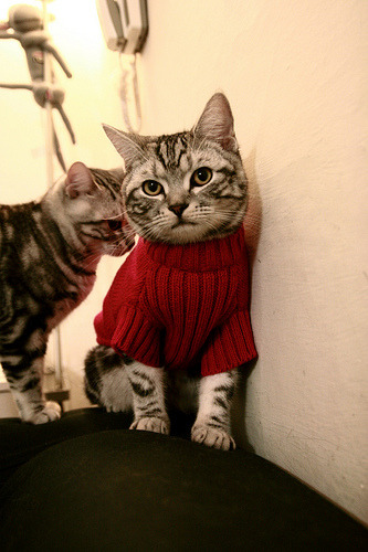 神兵天降！维尼修斯攻防统治全场，切尔西最后时刻绝杀比利亚雷亚尔